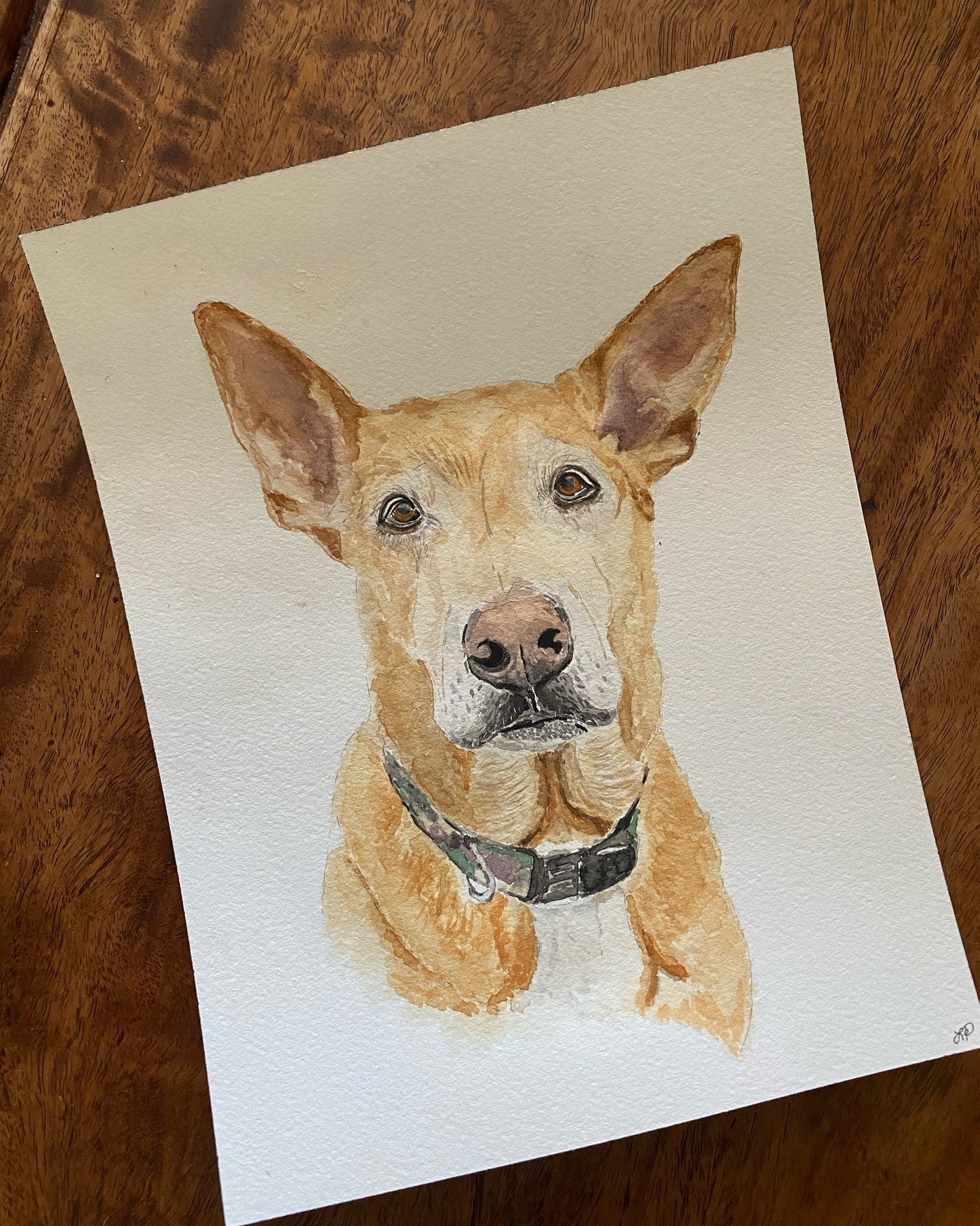 Custom Pet Portrait