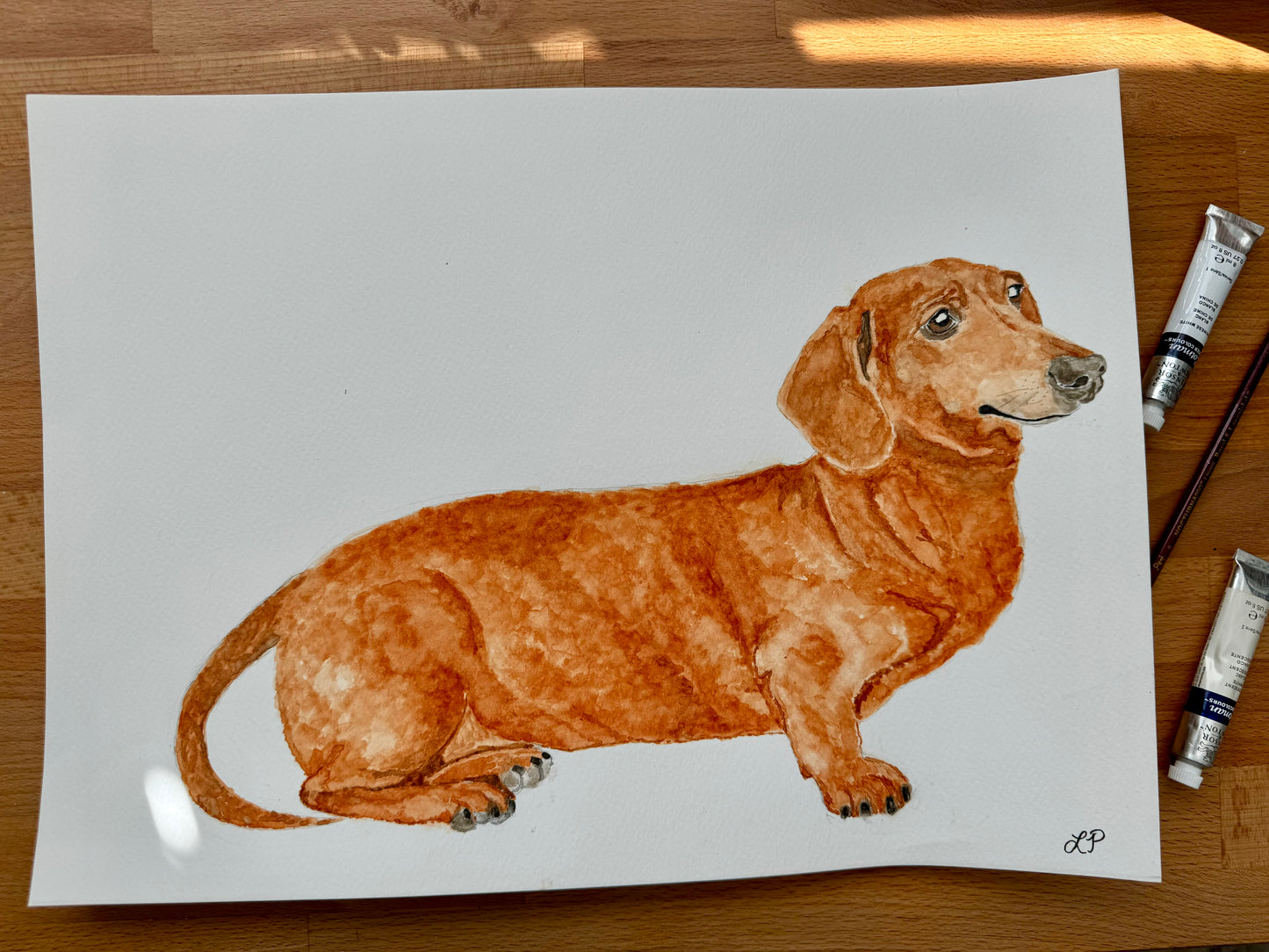 Custom Pet Portrait